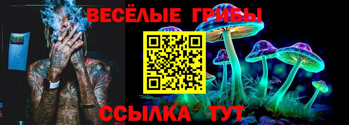Галлюциногенные грибы мухоморы Чистополь