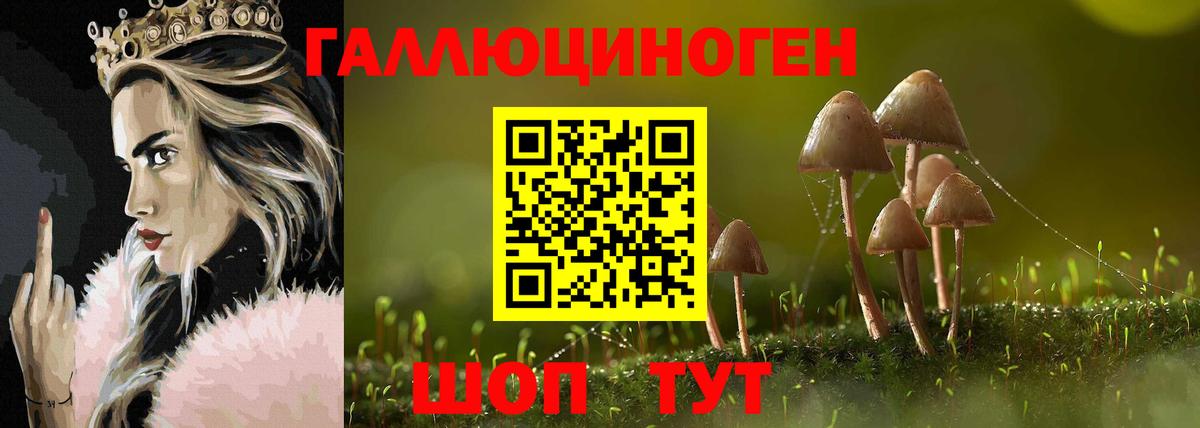 Чистополь  Псилоцибиновые грибы Psilocybe  Вход с VPN  Псилоцибиновые грибы Magic Shrooms 